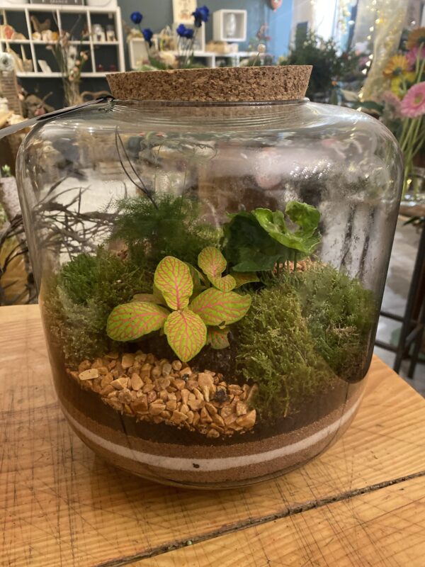 Terrarium