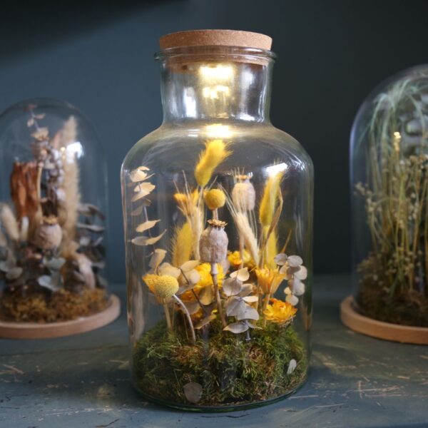 Terrarium