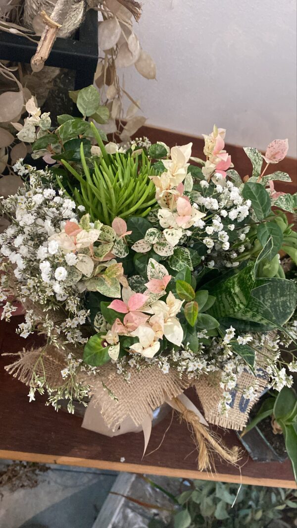 Bouquet Vivo